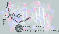 High Catalytic Activity of Dendritic C60 Monoadducts in Metal-Free Superoxide Dismutation