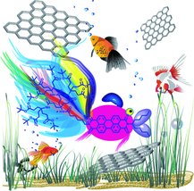 Noncovalent Chemistry of Graphene