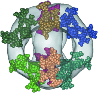 Switchable Supramolecular Organization of Structurally Defined Micelles Based on an Amphiphilic Fullerene