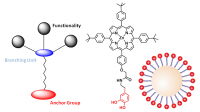 Functionalization of Nanoparticles